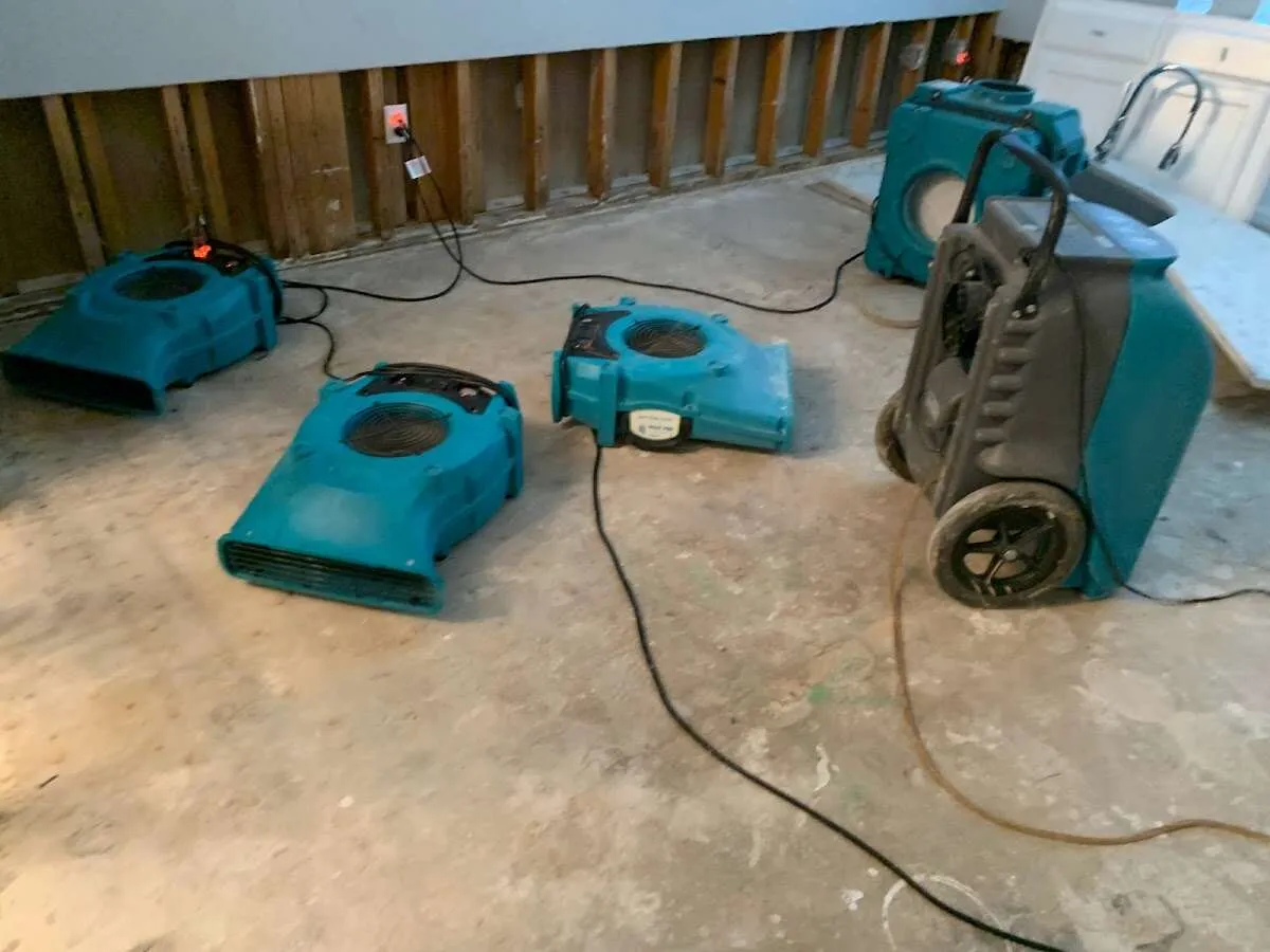 Water Damage Restoration services in Bellevue, WA